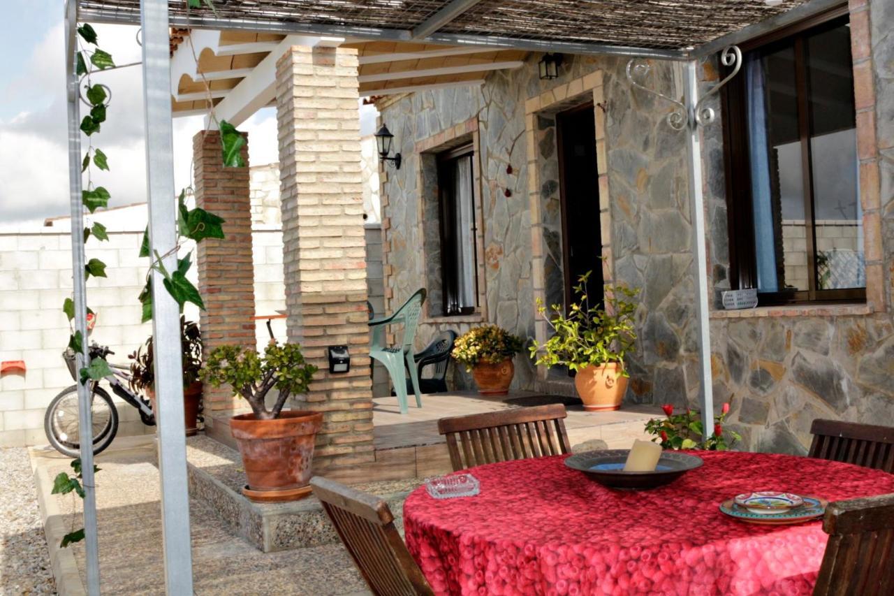 Chalet Mirlo Conil De La Frontera Exterior foto